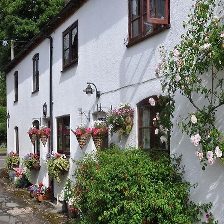 Shepherds Row Bed And Breakfast West Haddon Buitenkant foto